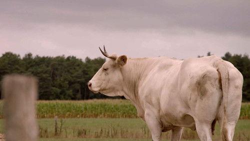 Pano Season 7 Episode 11 - Episode 11