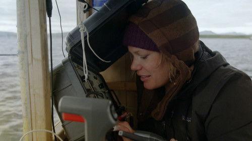 Bering Sea Gold Season 15 Episode 3 - Winds of Misfortune