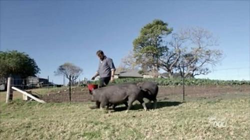 River Cottage Australia Season 3 Episode 1 - Episode 1