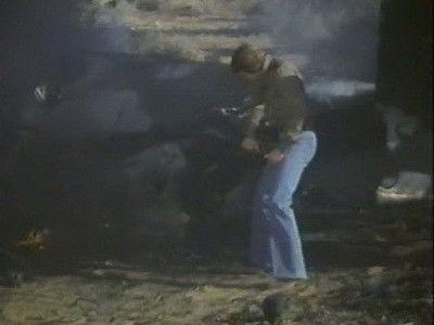 The Six Million Dollar Man Season 5 Episode 11 - The Cheshire Project