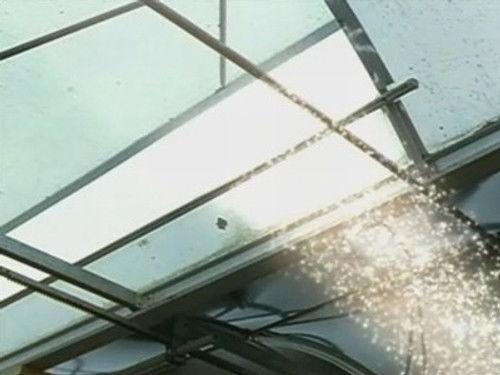 Power Rangers Season 11 Episode 8 - Nowhere to Grow