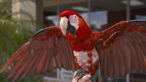 Dr. K's Exotic Animal ER Season 5 Episode 10 - Call of Doodie!