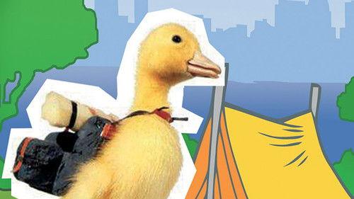 Les Aventures de Saturnin Season 1 Episode 1 - Episode 1