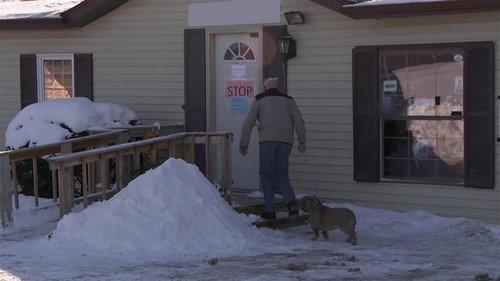 The Incredible Dr. Pol Season 20 Episode 2 - Lilo and Stitches