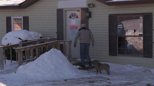 The Incredible Dr. Pol Season 20 Episode 2 - Lilo and Stitches