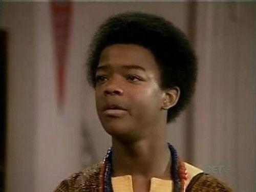 Diff'rent Strokes Season 3 Episode 12 - Roots
