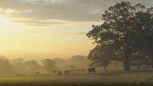 Wisconsin Foodie Season 11 Episode 13 - Seven Seeds Farm | Recipe: Steak au Poivre