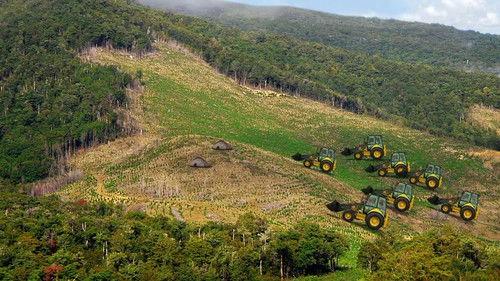 Scooby-Doo! Ecological Mission Season 1 Episode 5 - Episode 5