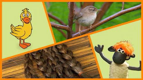 Die Sendung mit der Maus Season 55 Episode 11 - Episode 11