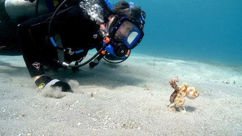 Wonders of Life Season 1 Episode 2 - Expanding Universe