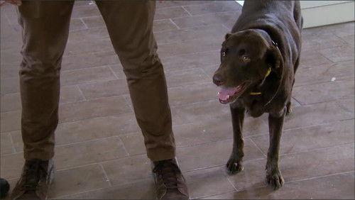 Zombie House Flipping Season 2 Episode 11 - Don't Let the Bed Bugs Bite