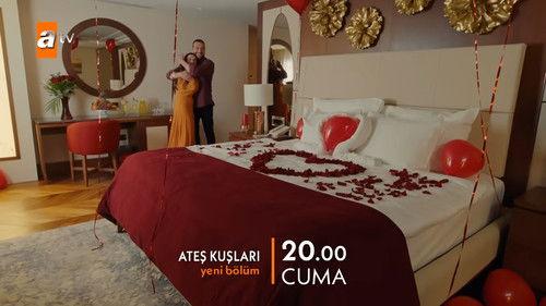 Street Birds Season 2 Episode 17 - Episode 38