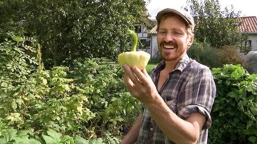 Frank & Kastaniegaarden Season 26 Episode 15 - Afterburner and UFO squash