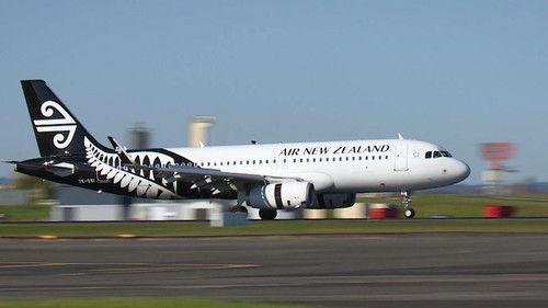 To Catch a Smuggler Season 9 Episode 2 - Cat's Out of the Bag