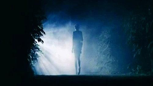 The investigation was conducted Season 6 Episode 16 - Episode 16