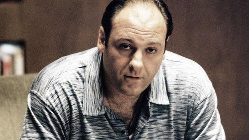 The Sopranos Season 1 Episode 11 - Nobody Knows Anything