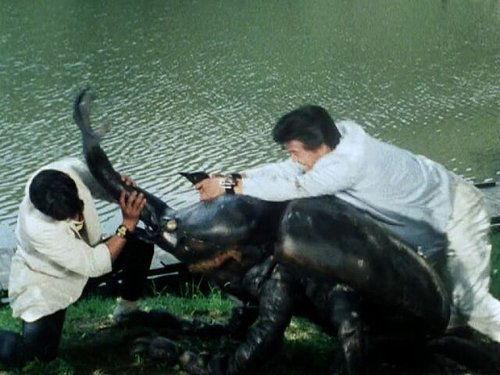 Choujuu Sentai Liveman Season 1 Episode 26 - Aizu's Huge Rhinoceros Beetles!