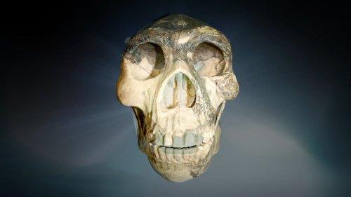 Ancient Aliens Season 17 Episode 5 - The Human Experiment