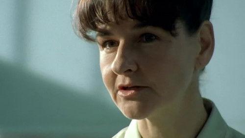 Wire in the Blood Season 1 Episode 5 - Justice Painted Blind (1)