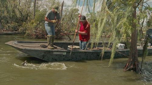 Swamp People Season 16 Episode 6 - Feeding Frenzy