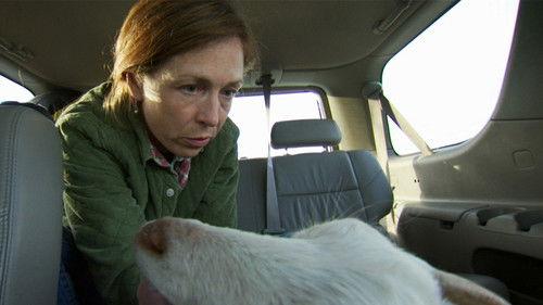 Dr. Oakley, Yukon Vet Season 2 Episode 3 - When Coyotes Attack