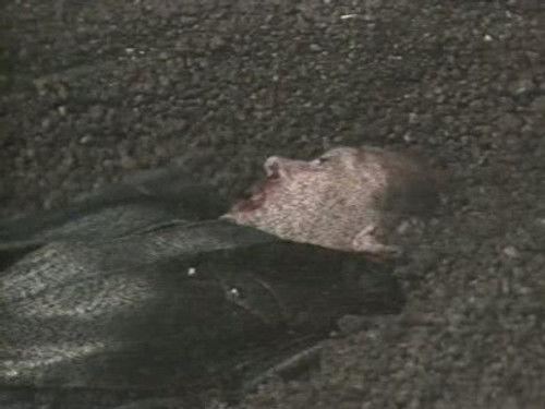 Doctor Who Season 21 Episode 9 - Frontios (3)