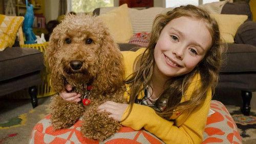 Waffle the Wonder Dog Season 4 Episode 2 - Waffle and the Birthday Wish