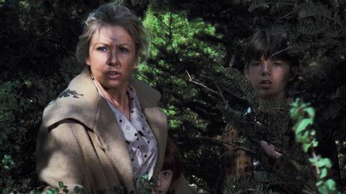 The Waltons Season 4 Episode 15 - The Search