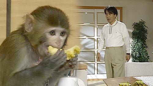 Soonpoong Clinic Season 1 Episode 16 - Episode 16