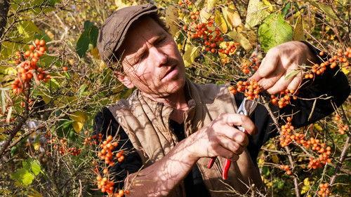 Frank & Kastaniegaarden Season 29 Episode 1 - Episode 1