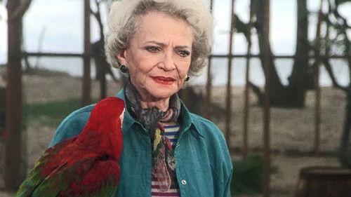 undefined Season 3 Episode 16 - Birdman of Budapest