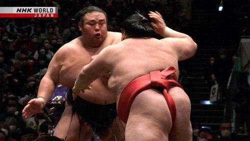 GRAND SUMO Highlights Season 15 Episode 13 - Day 13
