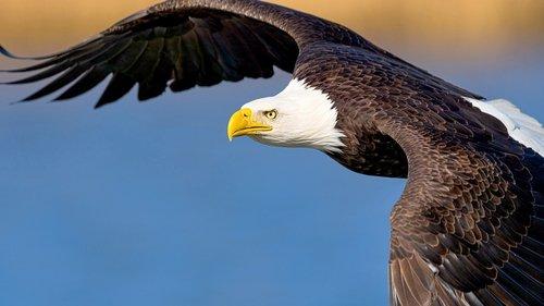 The Americas Season 1 Episode 1 - The Atlantic Coast