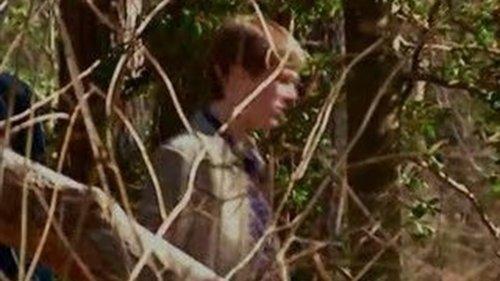 A Haunting Season 2 Episode 9 - Dark Forest