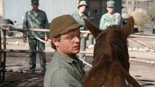 undefined Season 5 Episode 11 - The Colonel's Horse