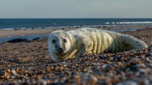 undefined Season 1 Episode 5 - Ocean