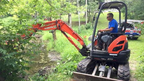 Louis and the Urban Jungle Season 1 Episode 7 - Episode 7