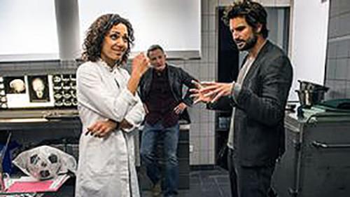 Einstein Season 1 Episode 8 - Thermodynamics