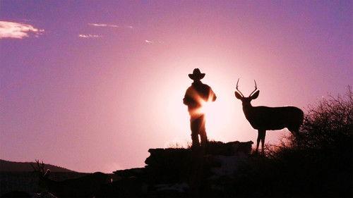 Nature Season 32 Episode 15 - Touching the Wild