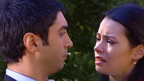 The Valley of The Wolves Season 2 Episode 2 - Episode 22