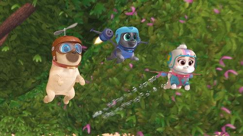 Puppy Dog Pals Season 2 Episode 11 - Operation: Dinner