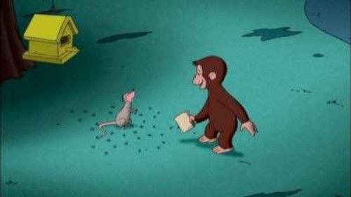 Curious George Season 2 Episode 22 - Creatures of the Night