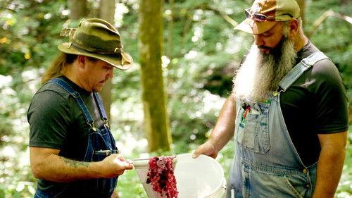 Moonshiners Season 11 Episode 6 - Champagne or Shine Pain?