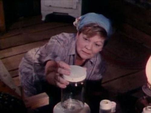 undefined Season 4 Episode 4 - The Moth