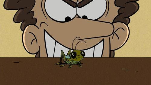 The Loud House Season 6 Episode 10 - A Bug’s Strife