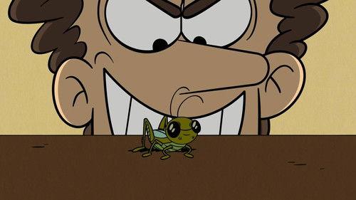 The Loud House Season 6 Episode 7 - A Bug’s Strife