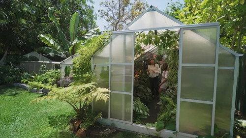 Gardening Australia Season 34 Episode 4 - Episode 4 Women, Garlic, Begonia, Arrernte & Groundcover