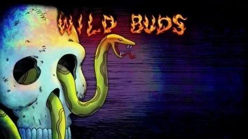 Sanjay and Craig Season 2 Episode 24 - Wild Buds