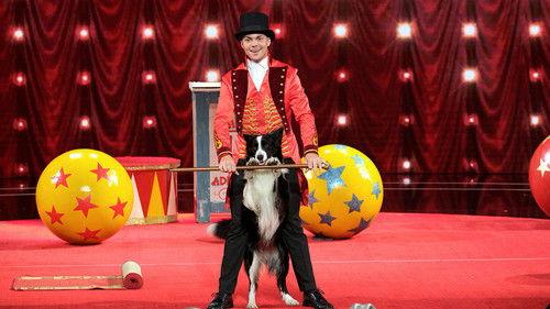 America's Got Talent Season 14 Episode 8 - Judge Cuts 1