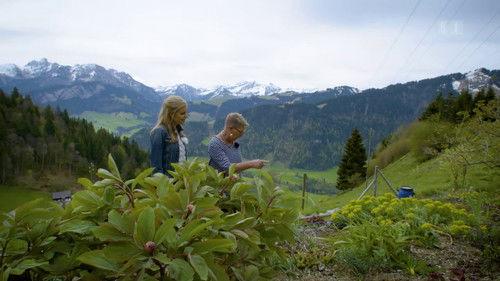 Hinter den Hecken Season 1 Episode 3 - A mountain garden